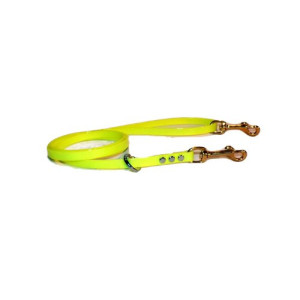 All Dayglo Dog Lead 1/2 in. Wide