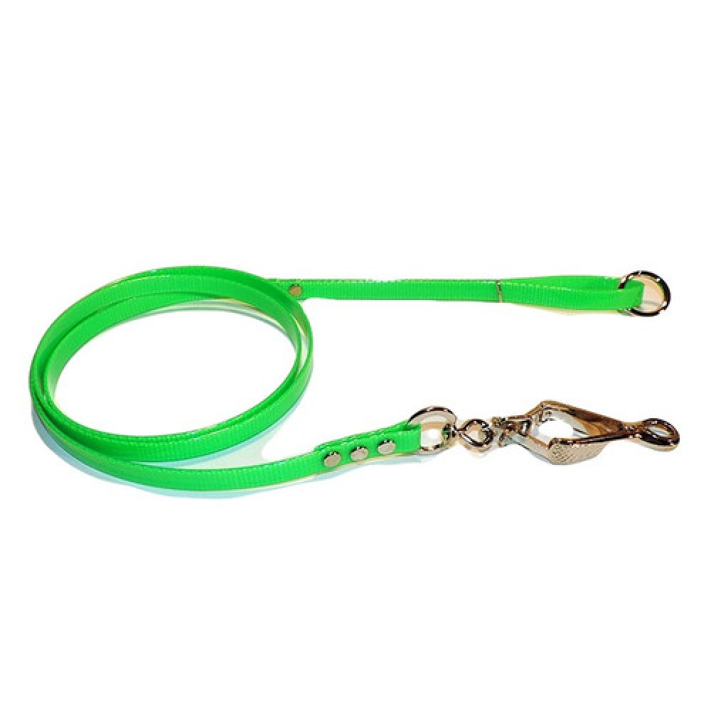 All Dayglo Dog Lead 1/2 in. Wide With French Snap