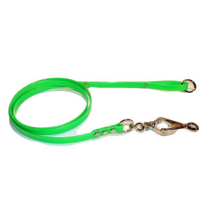 All Dayglo Dog Lead 1/2 in. Wide With French Snap