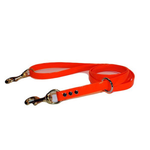 All Dayglo Dog Lead 3/4 in. Wide