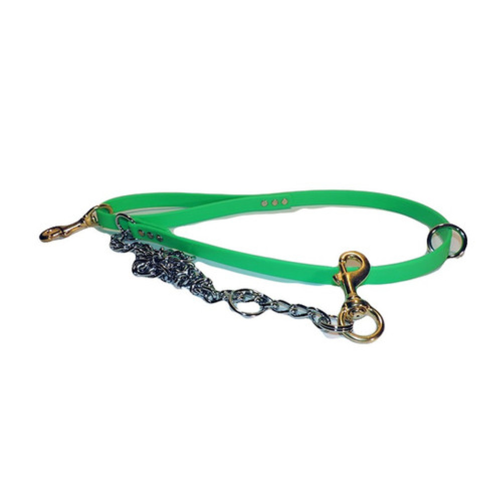Beta Dog Lead 3/4 in. Wide With Chain (Tree lead)