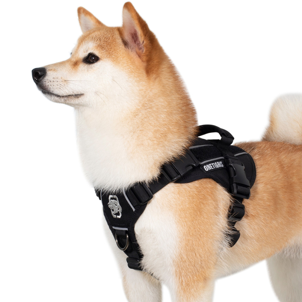 CHIPPER Dog Harness