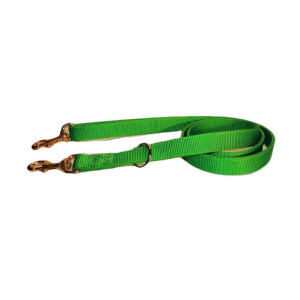 Double Ply All Nylon Dog Lead 1 in. Wide