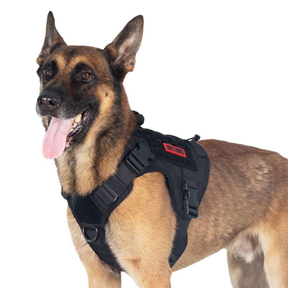 FIRE WATCHER Dog Harness 2.0