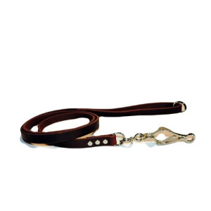 Leather Dog Lead Oil Treated 5/8 in. Wide With French Snap
