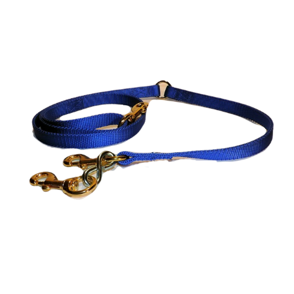 Old Wick Style Blue Ribbon Dog Lead