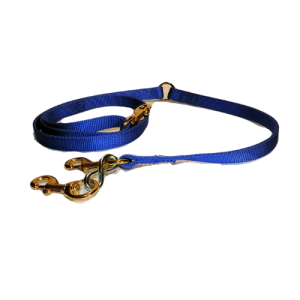 Old Wick Style Blue Ribbon Dog Lead