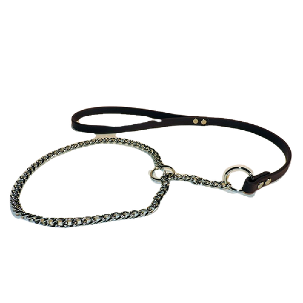 Show Dog Lead