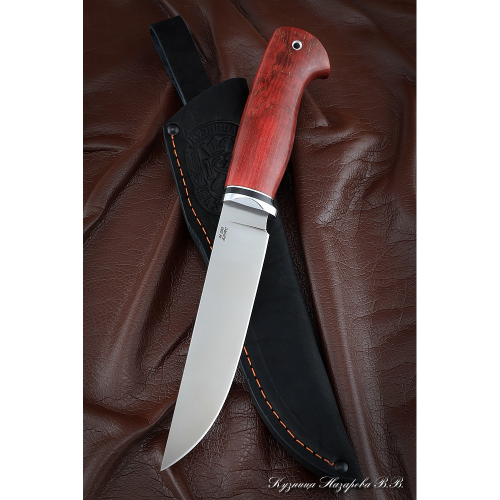 Knife Zasapozhny M390 stabilized Karelian birch red